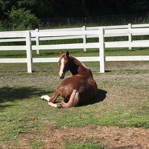 Meet your Posher, David